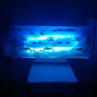 quadro acquatico 