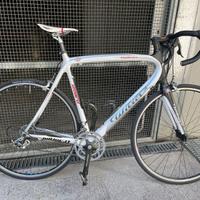 Wiler triestina izoard