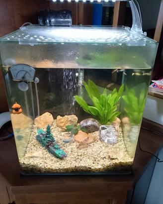 Acquario amtra 60 litri 