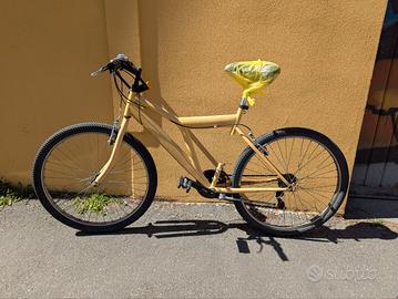 Bicicletta per uomini e donne