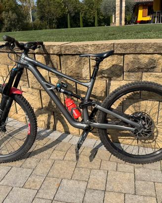 SPECIALIZED STATUS (S3)