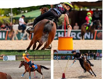 Pony per Mounted Games