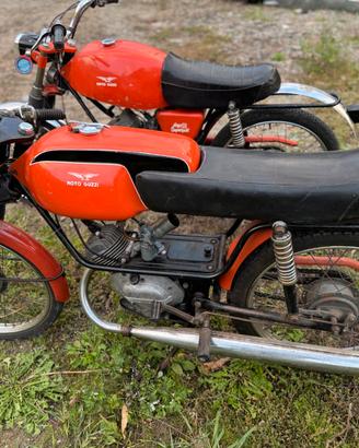 MOTO GUZZI DINGO SS