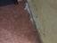 Immagine 17