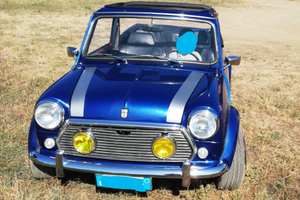 Mini rover cabrio l&h