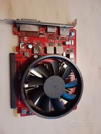 Scheda grafica GTX 1050Ti 4GB GDDR5 FH x16