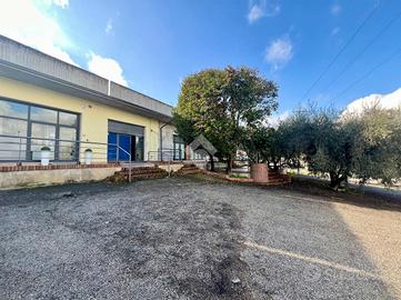 NEGOZIO A CASTELLALTO