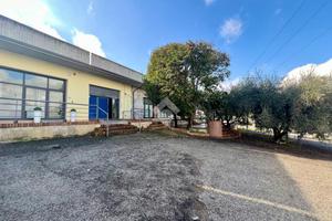 NEGOZIO A CASTELLALTO