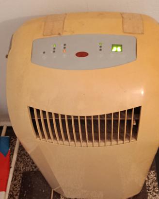 Condizionatore portatile + deumidificatore