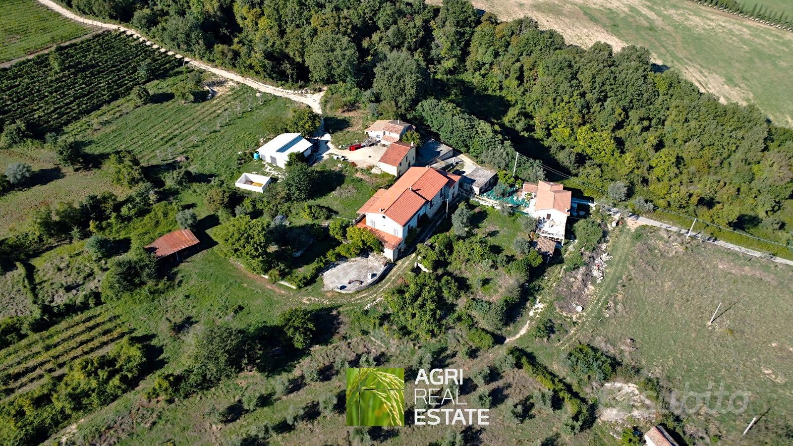 Cassino (FR) - Tenuta agricola di 14,5 HA | TR437 - More