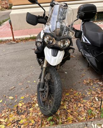 TRIUMPH XC 800