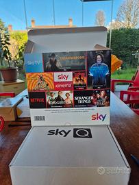 Decoder Sky Q