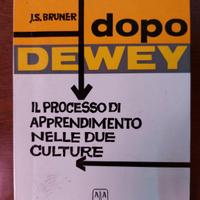  Il processo di apprendimento nelle due culture