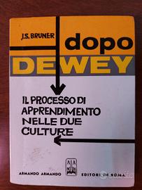  Il processo di apprendimento nelle due culture