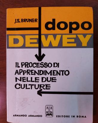  Il processo di apprendimento nelle due culture