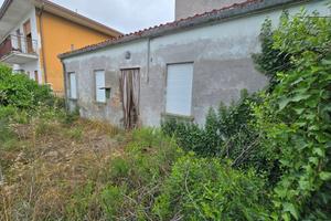 Agna:Casa singola con terreno di 3000 mq da ristru
