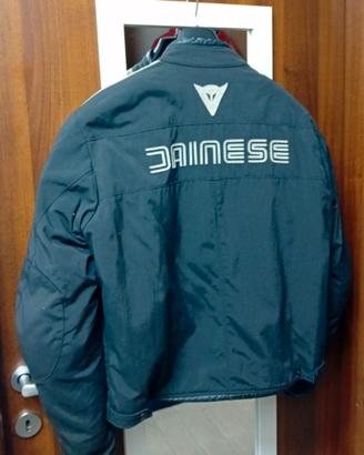 giacca moto dainese