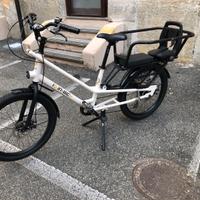 Bici Cargo Family muscolare