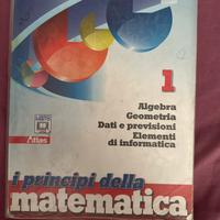 I principi della matematica