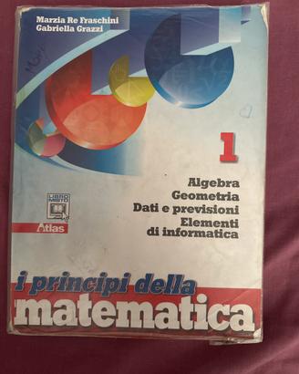 I principi della matematica