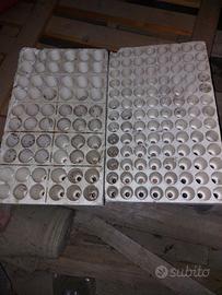 Semenzai per semina piante in polistirolo