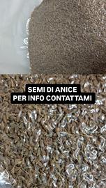 Semi di anice