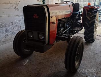 trattore Massey Ferguson 260 -60 CV +VIB ROCULTURE