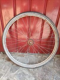 Ruota posteriore bici