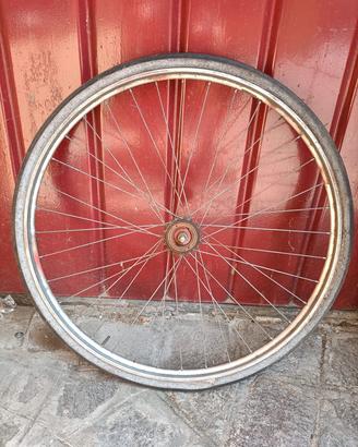 Ruota posteriore bici