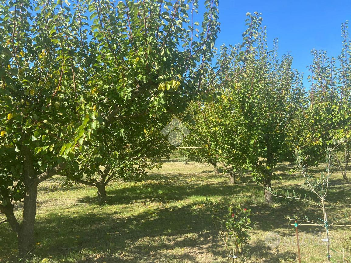 TER. AGRICOLO A SAVIGNANO SUL RUBICONE - Vista 3