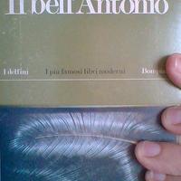 Libro Il bell'Antonio di Vitaliano Brancati
