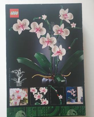 lego orchidea
