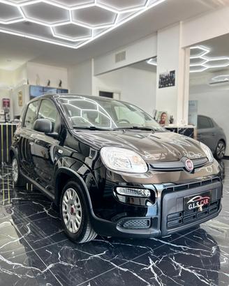 Fiat Panda 1.0 FireFly S&S Hybrid/benzina 100 cv C
