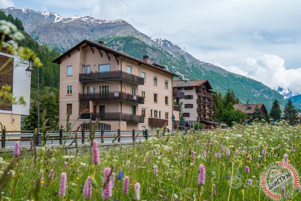 Appartamento di ampia metratura a cogne