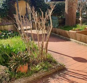 Casa indipendente di 210 m² con più di 5 locali a 