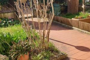 Casa indipendente di 210 m² con più di 5 locali a 