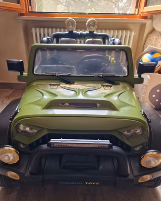 Auto Elettrica