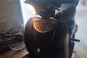 Scarabeo ditech