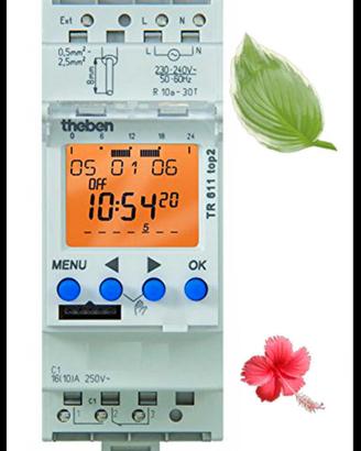 Interruttore orario Theben TR 611 top 2