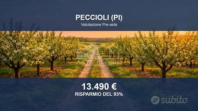 Immobile in asta di 140165 m² a Peccioli