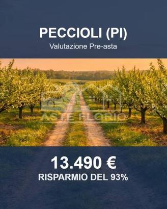 Immobile in asta di 140165 m² a Peccioli