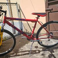 Mountain bike Adulto