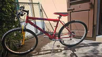 Mountain bike Adulto