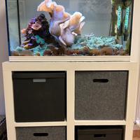 ASKOLL PURE XL HC MARINE WHITE