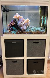 ASKOLL PURE XL HC MARINE WHITE