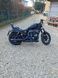 Harley Davidson 883 iron