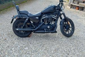 Harley Davidson 883 iron