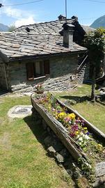 Casa per vacanze, piccola baita di montagna
