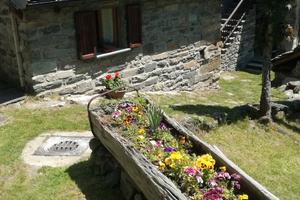 Casa per vacanze, piccola baita di montagna
