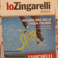 Dizionario Zanichelli